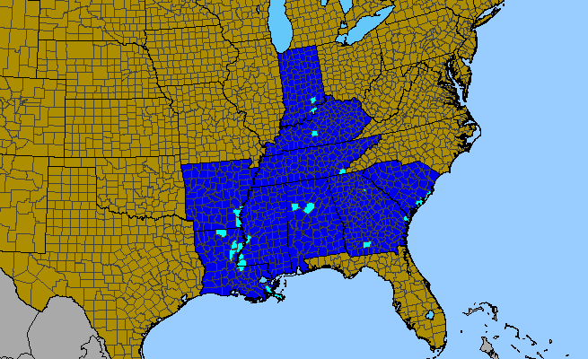 The range of Cyrtomium fortunei